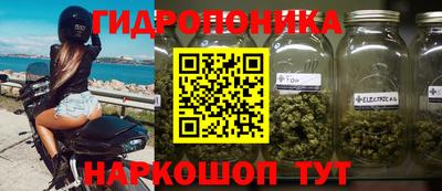 apvp Шелехов