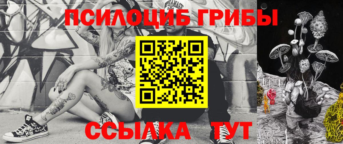Галлюциногенные грибы Psilocybe Старый Оскол