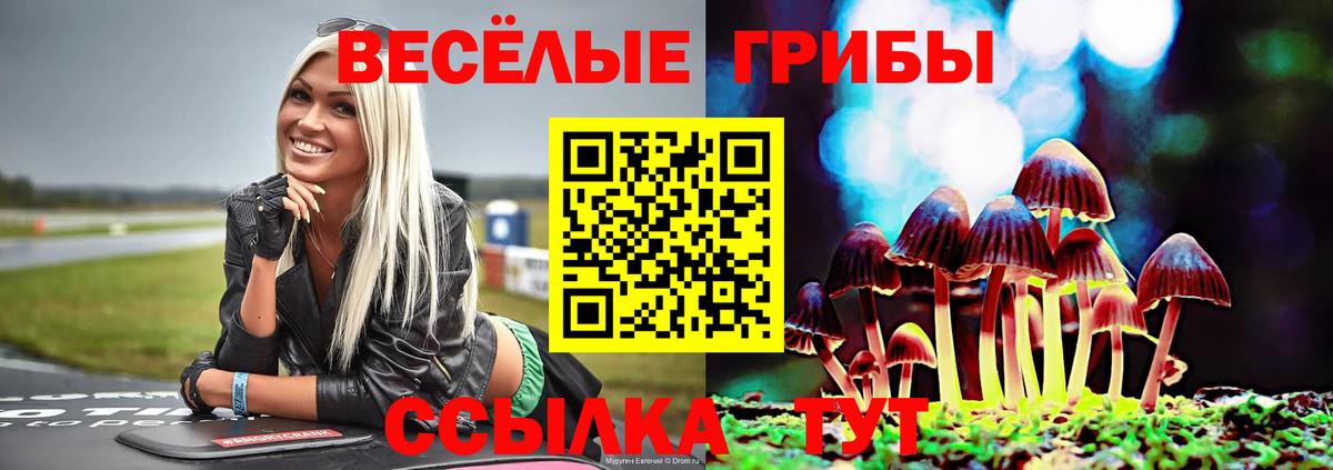 Галлюциногенные грибы ЛСД  Вход с VPN  Старый Оскол 